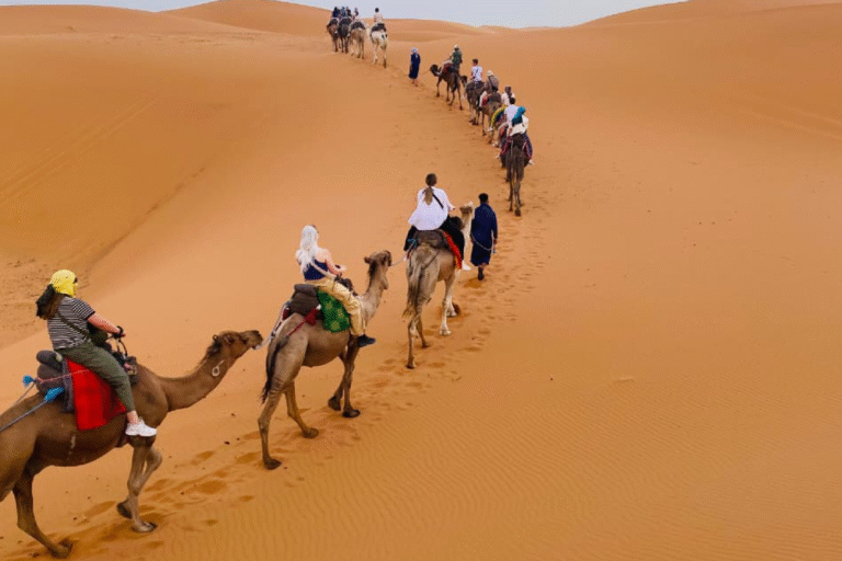 Marrakech to the Sahara Desert: The Complete Tour Guide