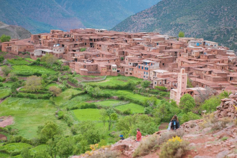 Best Time to Visit Morocco: A Month-by-Month Guide